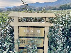 -中国茶叶博物馆(双峰馆区)