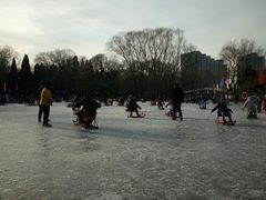 -紫竹院公园冰场