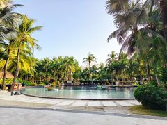 -三亚湾海居铂尔曼度假酒店