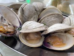 葱蒸沙白-红月湾海鲜饭店•沙滩海景(双月湾店)