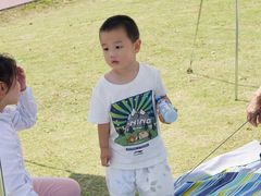 -春花秋色城市公园