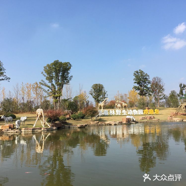 后来又往北找到的景区园外停车场