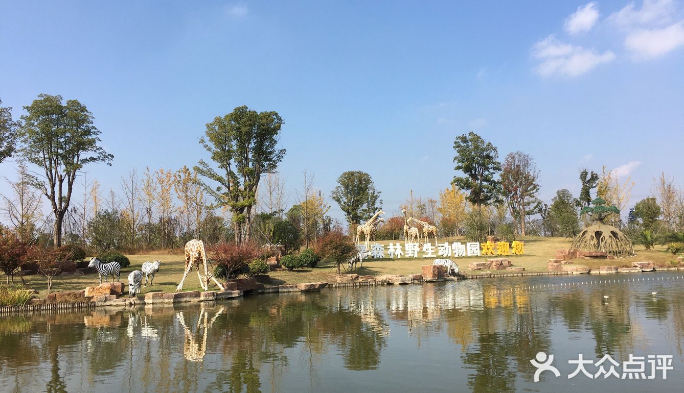 后来又往北找到的景区园外停车场
