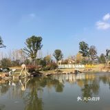 后来又往北找到的景区园外停车场