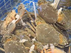 -木木鲜海鲜面(天一店)