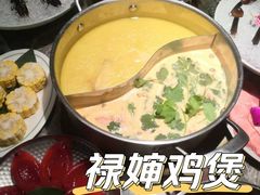 -禄婶鸡煲·打边炉