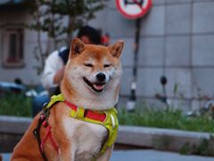 -簋街