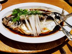 钱湖四宝-朋鱼-宁波柏悦酒店·钱湖渔港