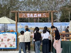 -盈香心动乐园