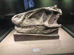 -自贡恐龙博物馆