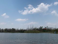 -白鹭湾湿地公园