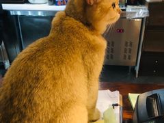 -咖法森林·咖啡  酒吧(天河店)