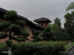 -习家池
