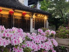 -惠山古镇·寄畅园