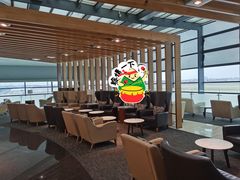 -虹桥机场国航贵宾室v8