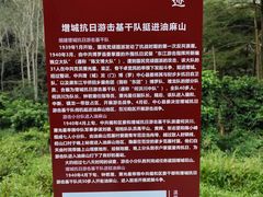 -黄埔油麻山森林公园