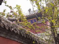 -潭柘寺景区