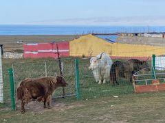-青海湖国家重点风景名胜区