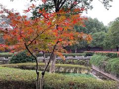 -八卦田遗址公园