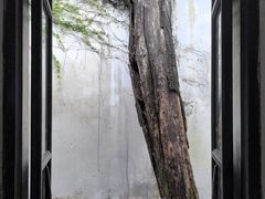 -乌镇东栅景区