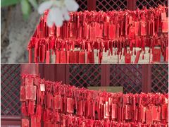 -天津古文化街旅游区-天后宫