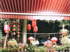 -国生茶庄·地道农家菜团建活动