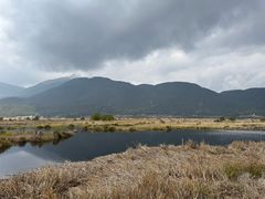 -腾冲北海湿地