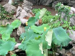 -孔氏南宗家庙