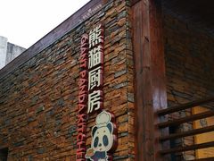 景点-成都大熊猫繁育研究基地
