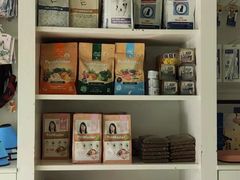 -爱贝特动物医院·猫口炎专科