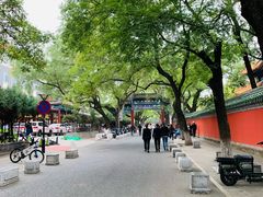 -北京国子监胡同