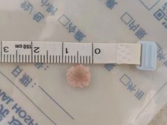 -瑞派·关忠动物医院·猫专科·犬专科(三环新城店)