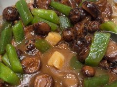 -春天来了(印象新天地店)
