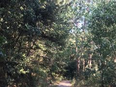 -青龙山国家森林公园