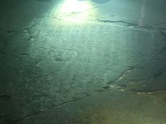 -白鹤梁水下博物馆