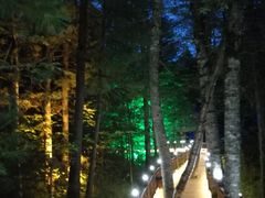 -汤旺河林海奇石景区