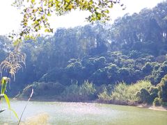 -清溪大王山森林公园