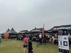 -春花秋色城市公园