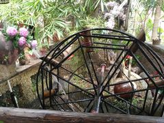 -园林美食城·本土农家菜(杨和镇店)