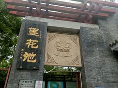 -莲花池公园