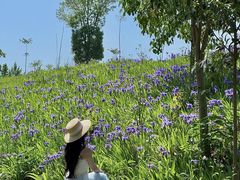 -白鹭湾湿地公园