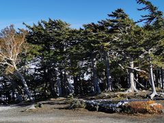 -富士山吉田線五合目