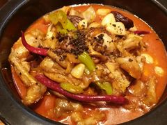 黑松露牛肝菌焖牛蛙-云海肴·汽锅鸡·云南菜(天津国金汇店)