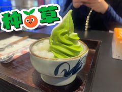 双拼茶碗-羽至金时(柏威年店)