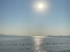 -深圳湾公园(南山区)
