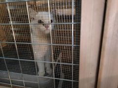 -BABANA烧烤·龙虾·海鲜