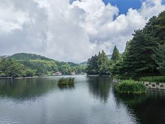 -庐山风景区花径公园