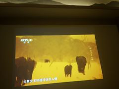 -花悦四季足道会所(钟家村店)