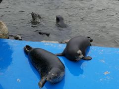 -华夏文旅海洋公园