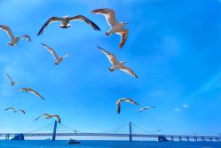 -星海水上乐园(星海广场圣亚店)
